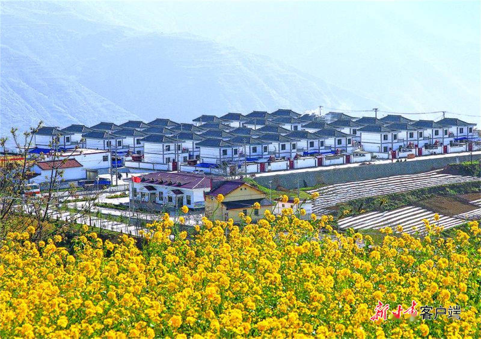 �� ��:ũ�塰���Ů������ĸ���ϵ��ϰ����ɷ�ͬ���˻�Ҫ���ֵܵ�̬��
�� �ߣ�sn
�� ��:2026-02-14 07:23:24
�� ��:0